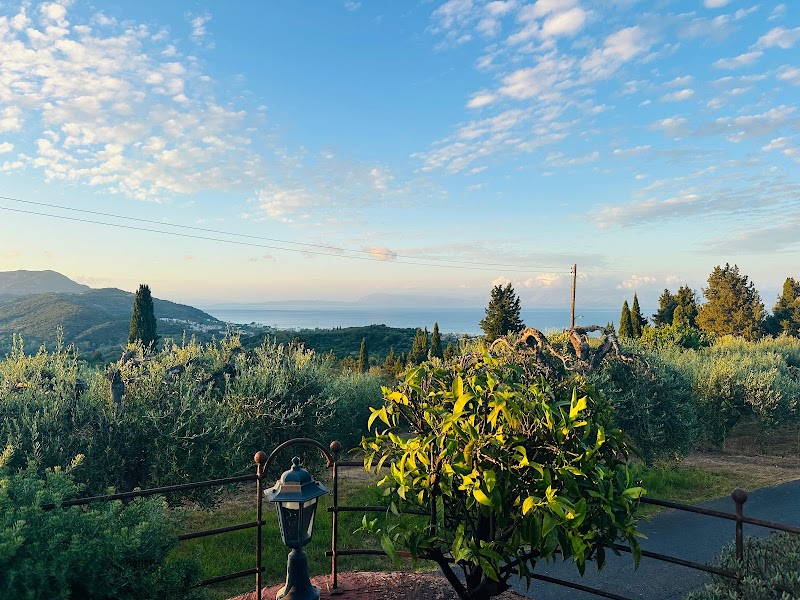 Cafe-Restaurant Archontiko - Photo 4