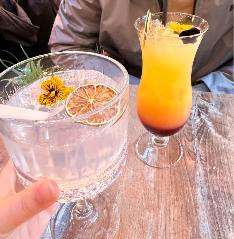 Opus Latino - Photo 3