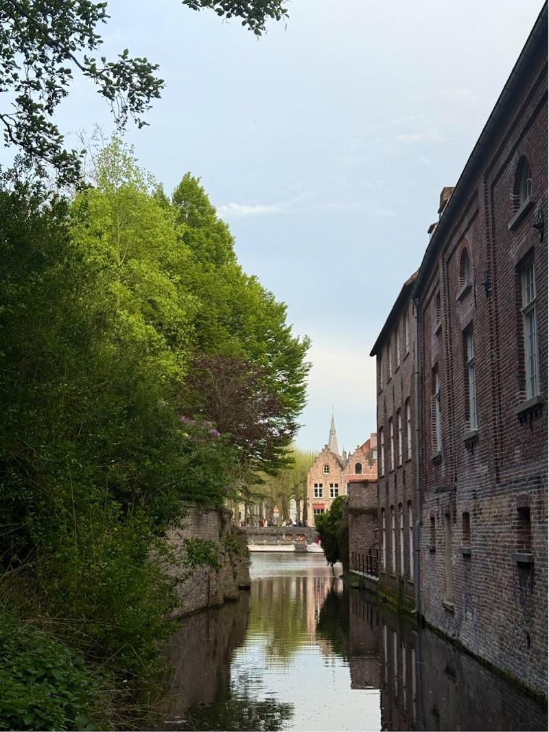 Opus Latino - Photo 4