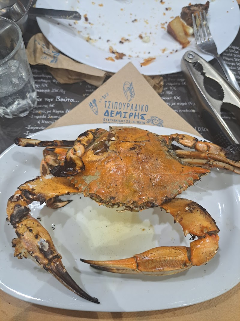 Demiris Traditional Tsipouro Restaurant - Photo 4