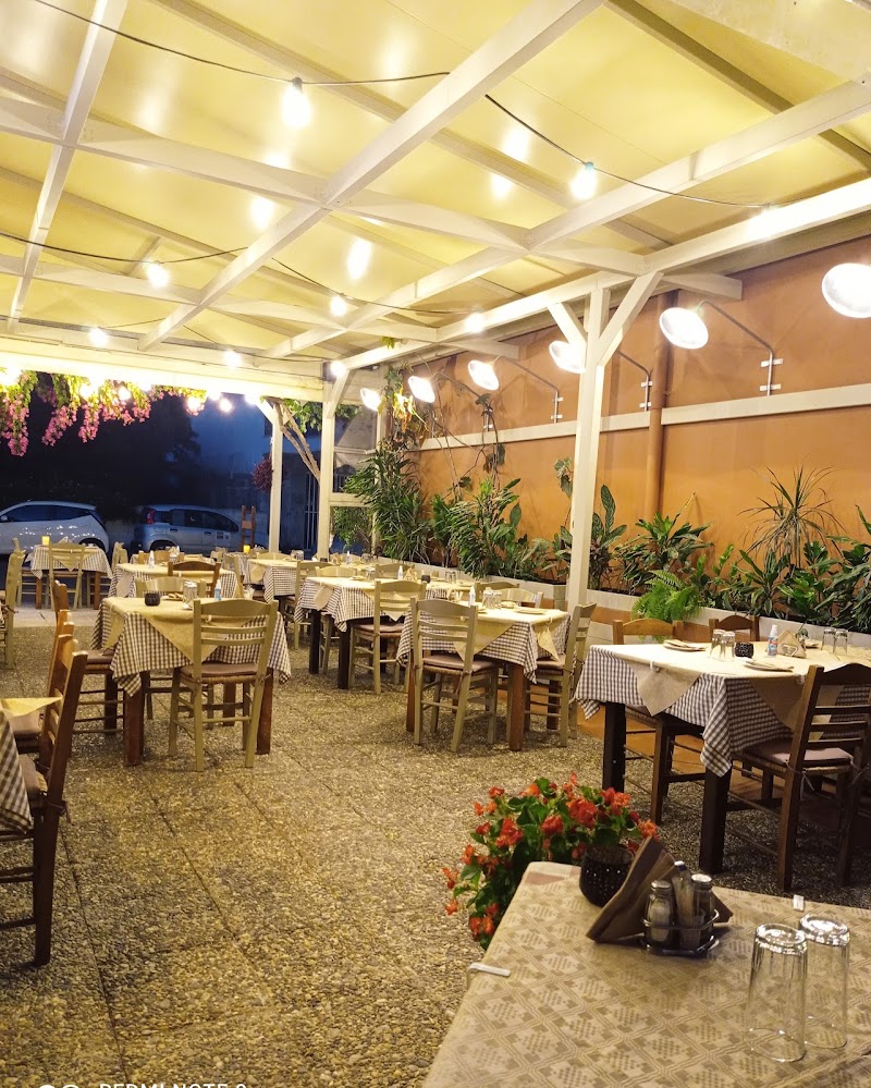 THE CHAGIATI - Photo 1