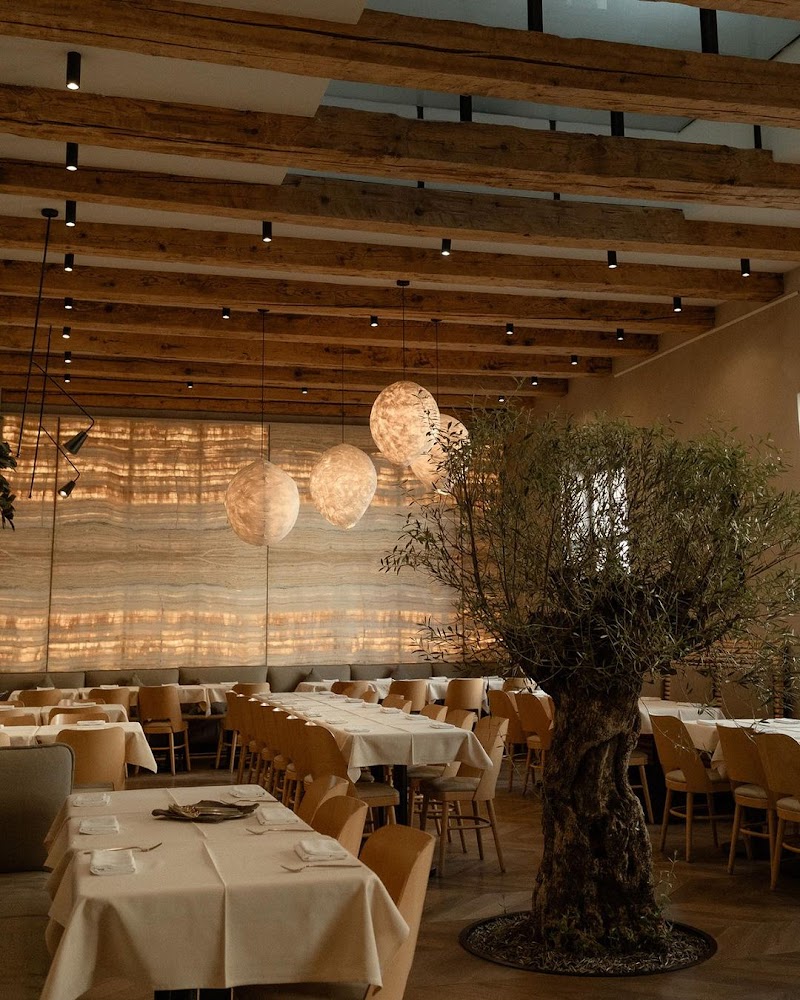 Samsara Foodhouse - Cluj restaurant plant-based - Photo 1