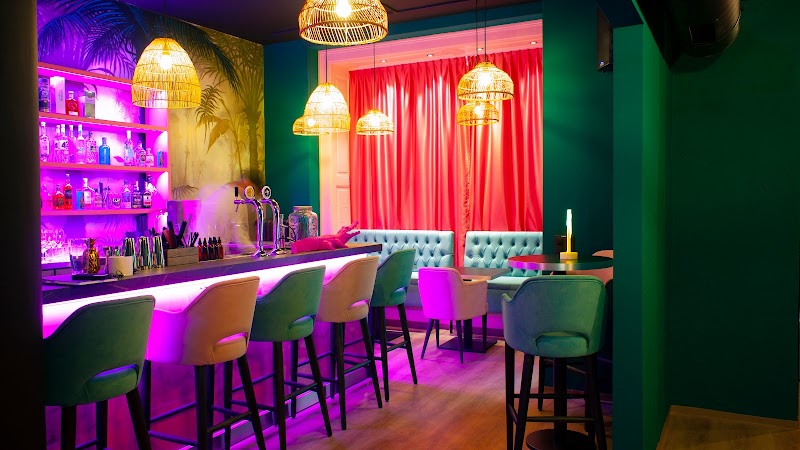 Pink Cocodrilo - Photo 1