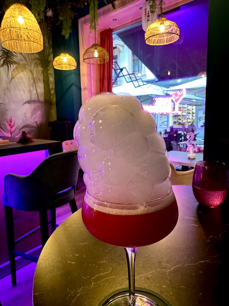 Pink Cocodrilo - Photo 5