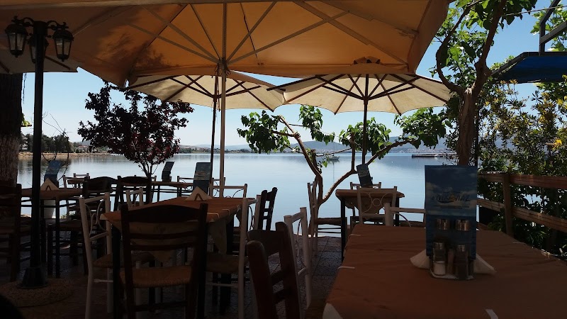 ouzo Nicholas - Photo 1