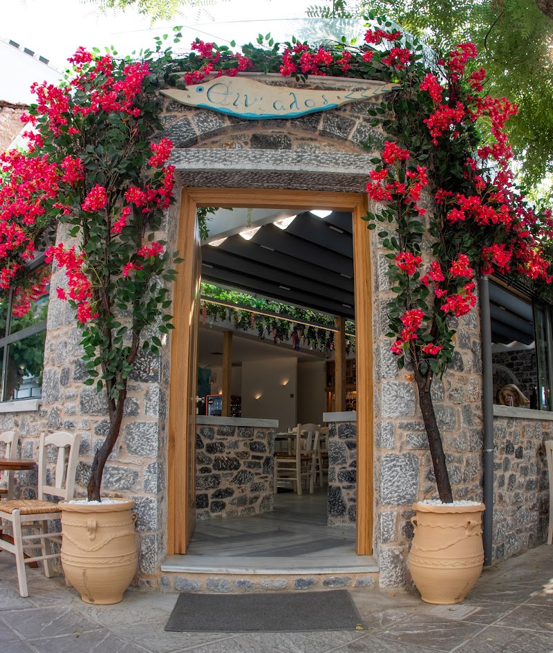 Thinalos Seafood Restaurant - Θίν'αλος - Photo 1