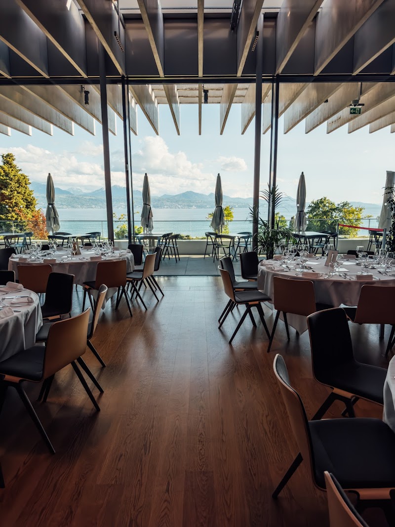 Restaurant du Musée Olympique (TOM Café) - Photo 5