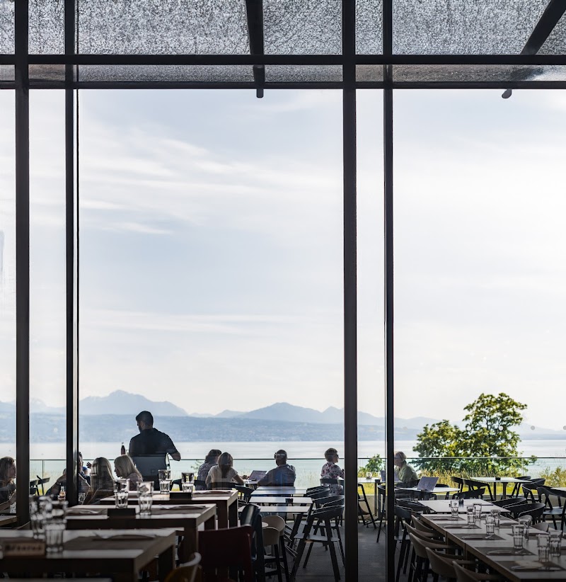 Restaurant du Musée Olympique (TOM Café) - Photo 3