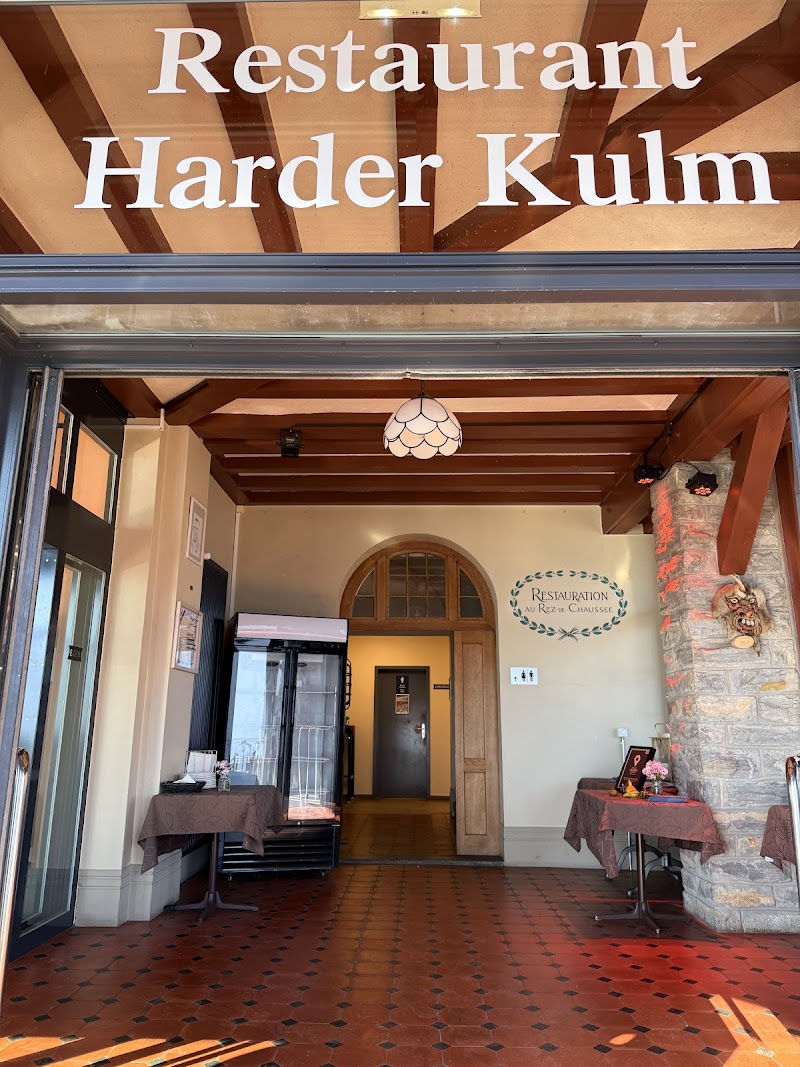 Panoramic Viewpoint - Harder Kulm - Photo 5