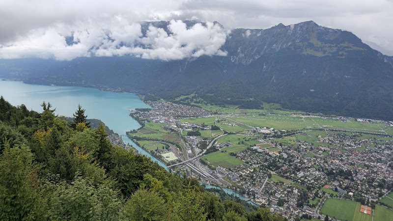 Panoramic Viewpoint - Harder Kulm - Photo 4