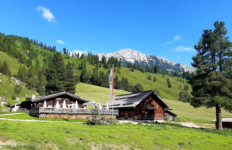 Oberhofalm - Photo 3