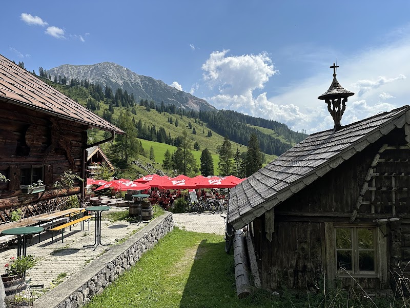 Oberhofalm - Photo 5