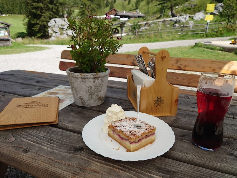 Oberhofalm - Photo 2