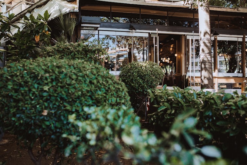 Agora Select - Photo 3