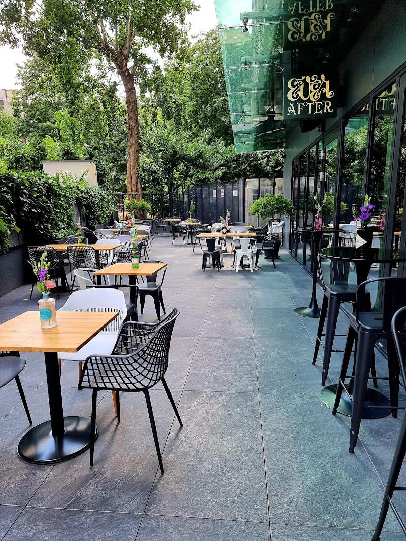 Ever After - Photo 1