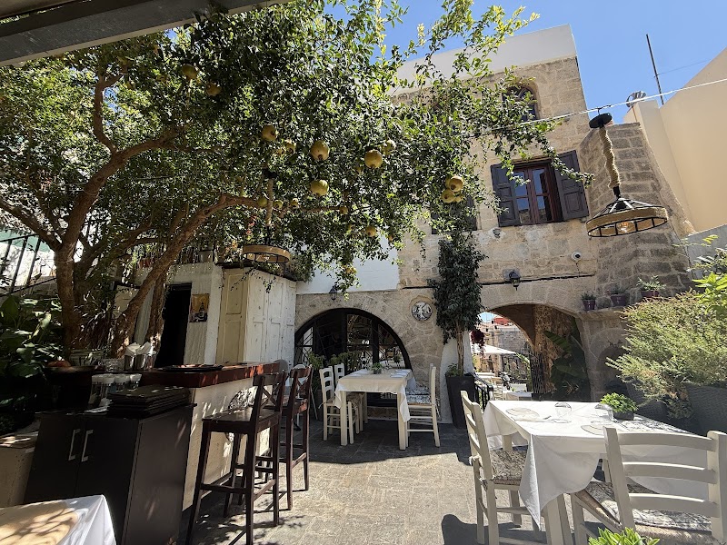 to Rodi Mediterranean Cuisine - Photo 4