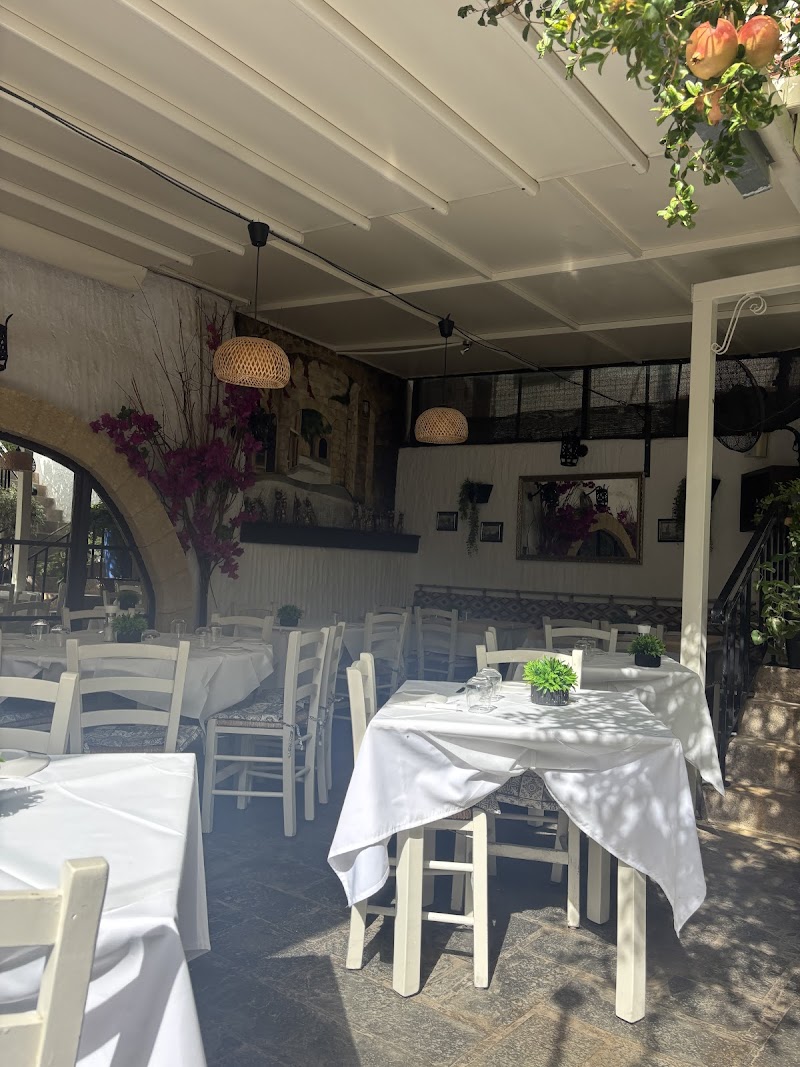 to Rodi Mediterranean Cuisine - Photo 5