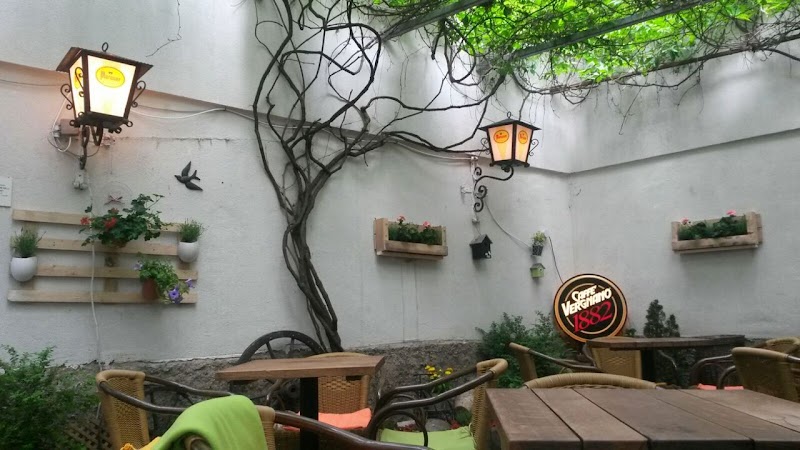 Old Lemon Tree - Photo 4