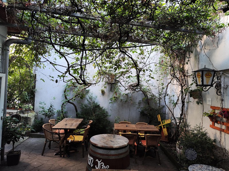 Old Lemon Tree - Photo 1