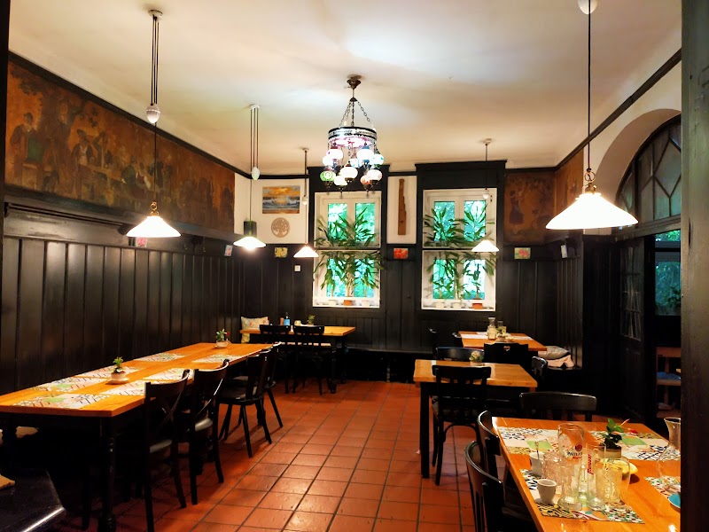 Old Lemon Tree - Photo 3