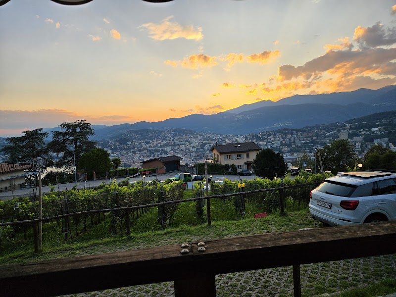 Ristorante Piccolo Vigneto - Photo 4