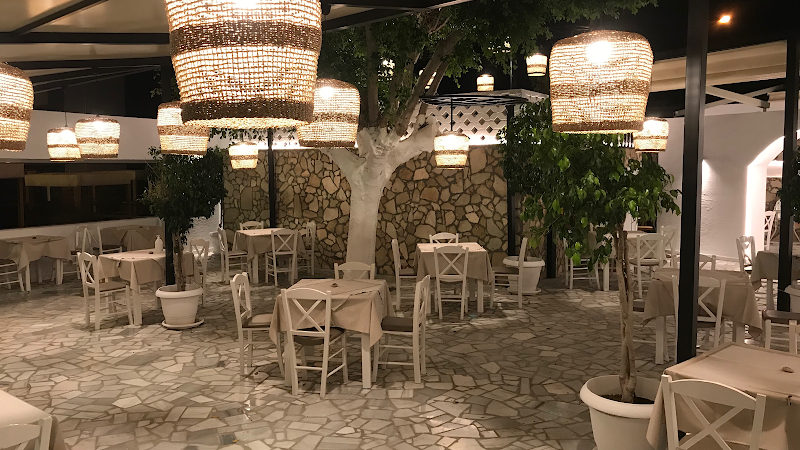 Desert Rose Restaurant - Photo 1