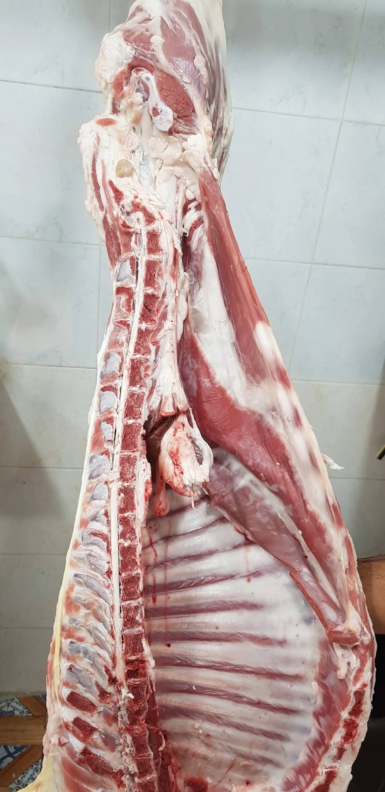 Taiba markt. ماركت طيبة - Photo 4