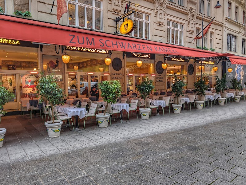 Zum Schwarzen Kameel - Photo 5