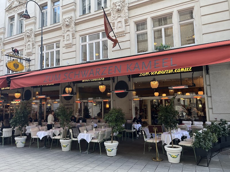 Zum Schwarzen Kameel - Photo 4