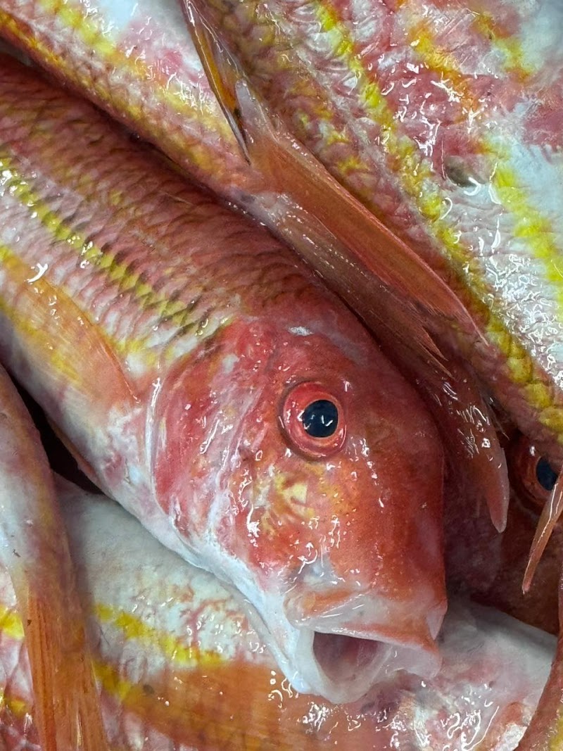 Μπλε γαρίδα - Photo 2