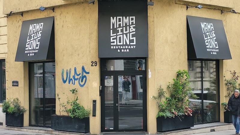 Mama Liu & Sons - Photo 8