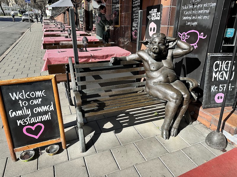 Den Glade Gris - Photo 6