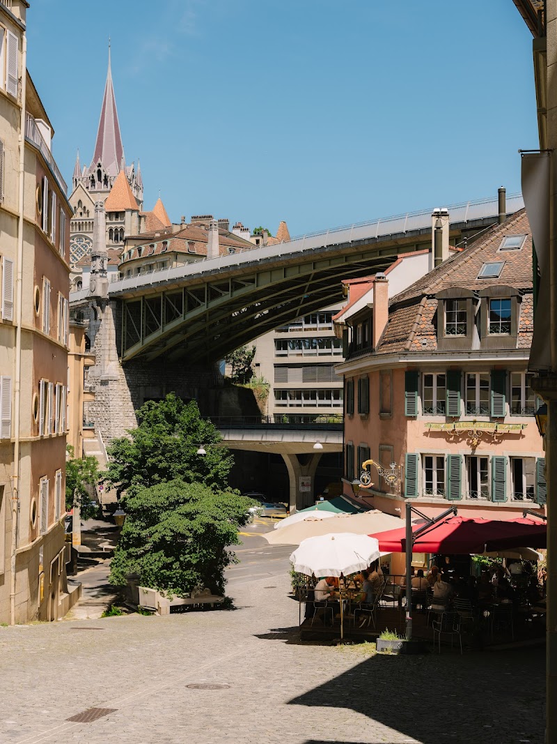 Grappe d'Or - Photo 3