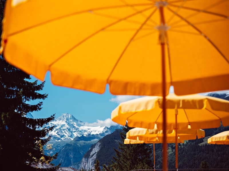 Sonnenbad Lounge & Terrace - Photo 3