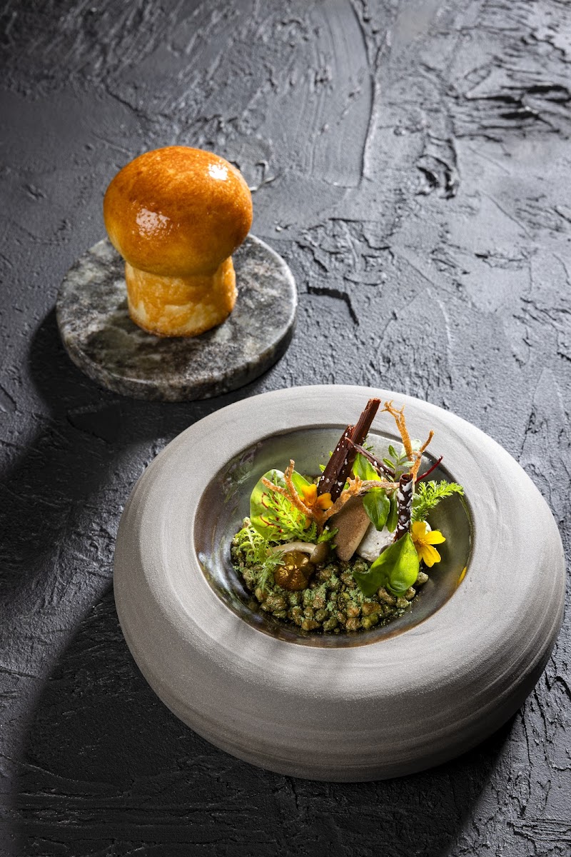 Silvio Nickol - Photo 8