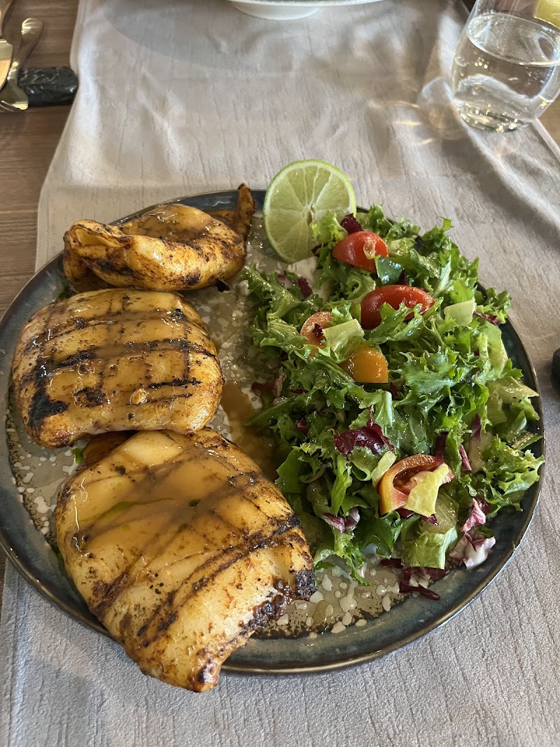 Sciccheria Rosetti - Photo 3