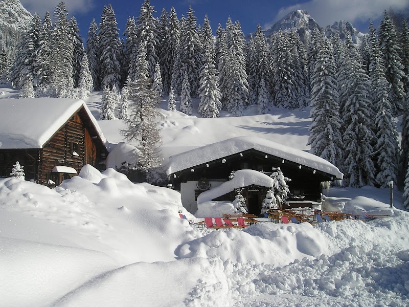 Unterhof Alm - Photo 4