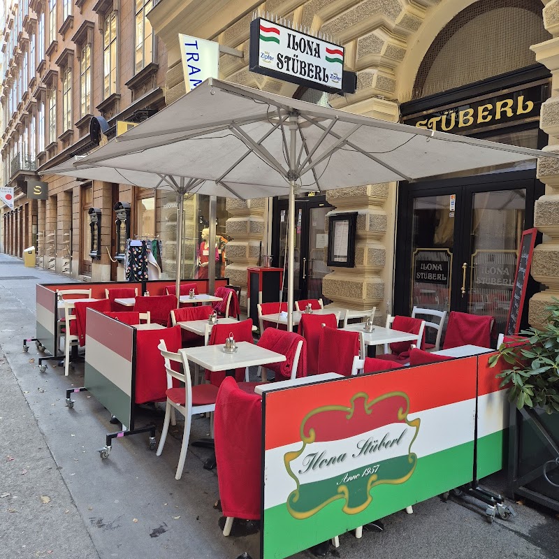 Ilona Stüberl - Photo 5