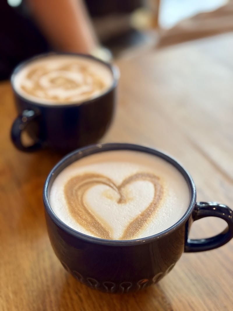 Rainbow Factory - Photo 6