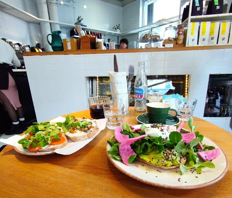 Trofic Ion Brezoianu - Photo 5