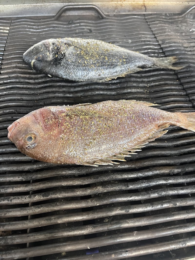 Τα Καλαμαράκια - Photo 3