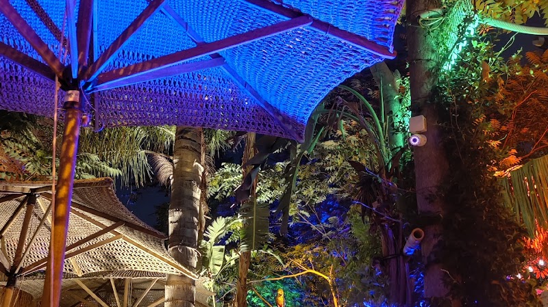 The Place by COCO-MAT.bike - Photo 3