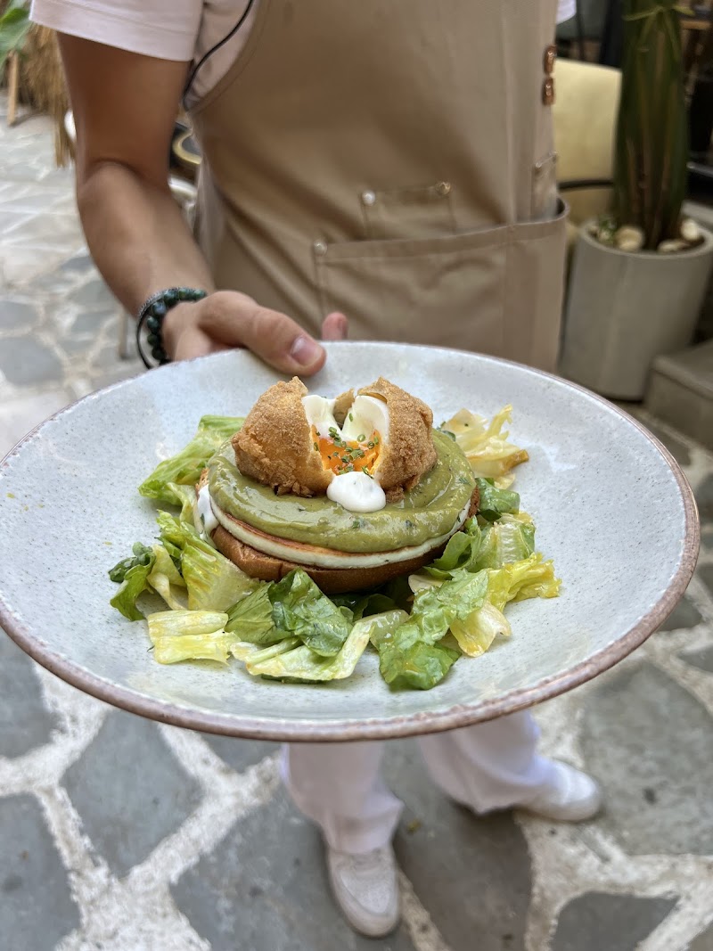 The Place by COCO-MAT.bike - Photo 2