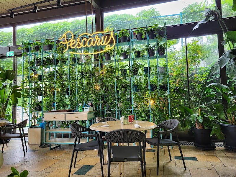 Restaurant Pescăruș - Photo 4