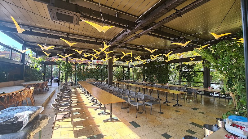 Restaurant Pescăruș - Photo 5