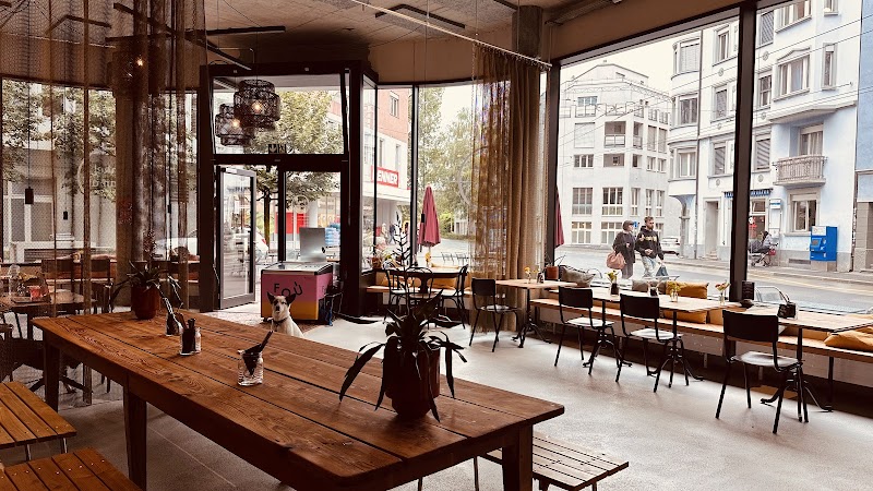 Onkel Salamat - Photo 1