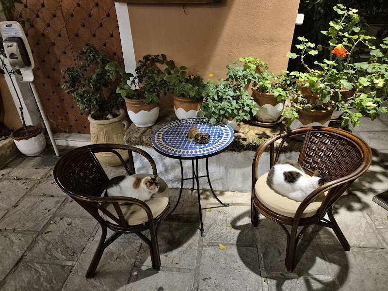 Socratous Garden - Photo 2