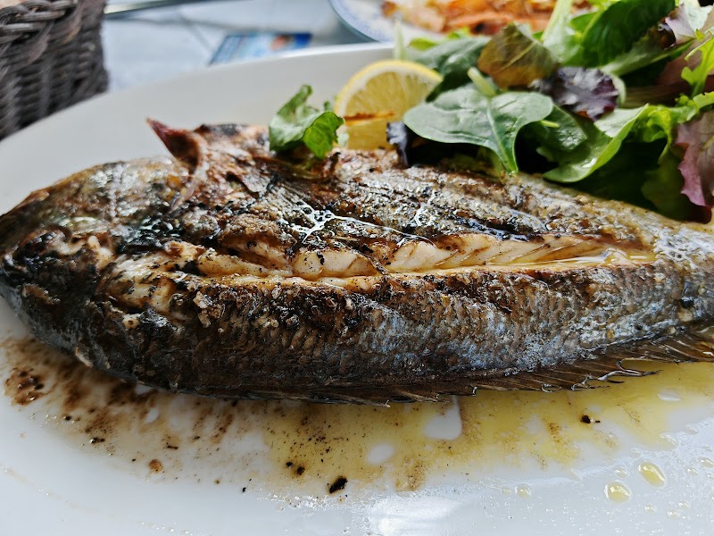 Fish tavern Blue Scorpion Marine - Photo 5