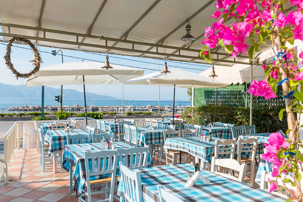 Fish tavern Blue Scorpion Marine - Photo 1