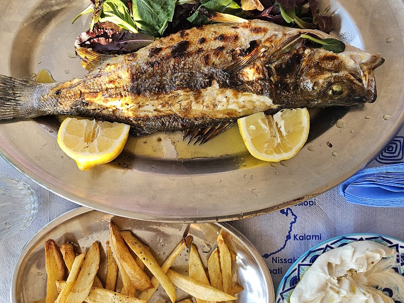 Fish tavern Blue Scorpion Marine - Photo 4